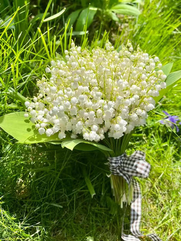 Lily of the Valley Elegance Woven Through Culture and Craft