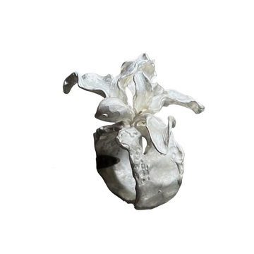 White Iris Flower Open Ring