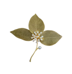 Leaf Pearl Brooch