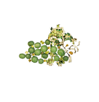 Royal Vintage Grape Vine Diamond Brooch
