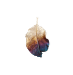 Silver Rose's Tale Pendant