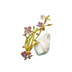 Pearl Amethyst Orchid Brooch