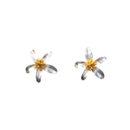 Silver Flower Brooch and Earring Set