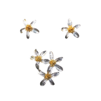 Silver Flower Brooch and Earring Set