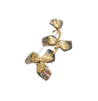 Natural Abalone Shell Floral Brooch
