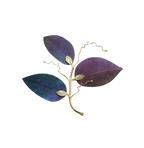 Brass Leaf Brooch
