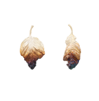 Silver Charm of the Crabapple Leaves Earrings