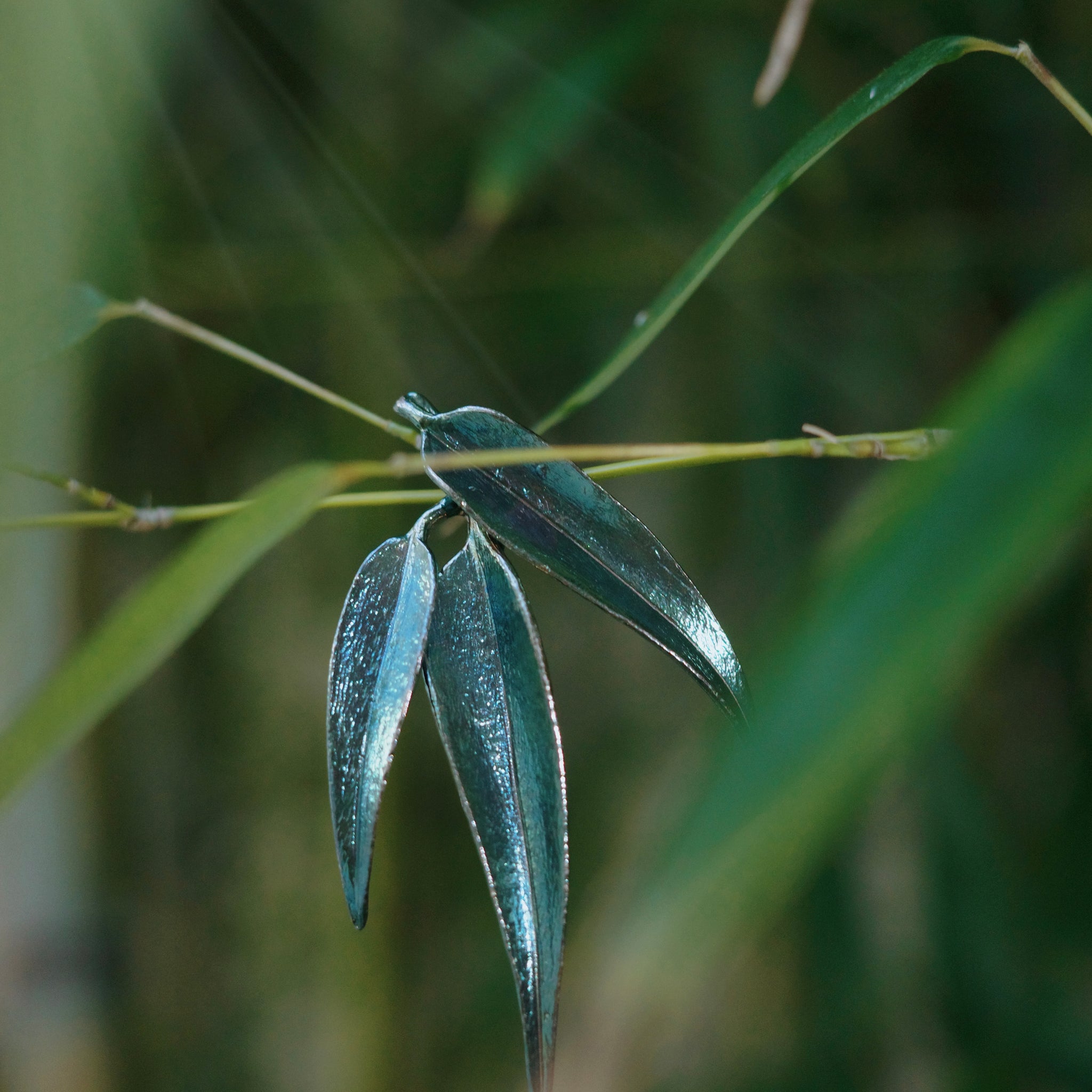 Silver Bamboo Shadow Blue Brooch BYRDSTROM BYRDSTRÖM handmade handcrafted jewelry nature natural healing